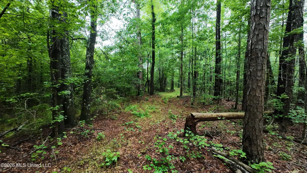 6936 Hillsboro-ludlow Road Forest, MS 39074