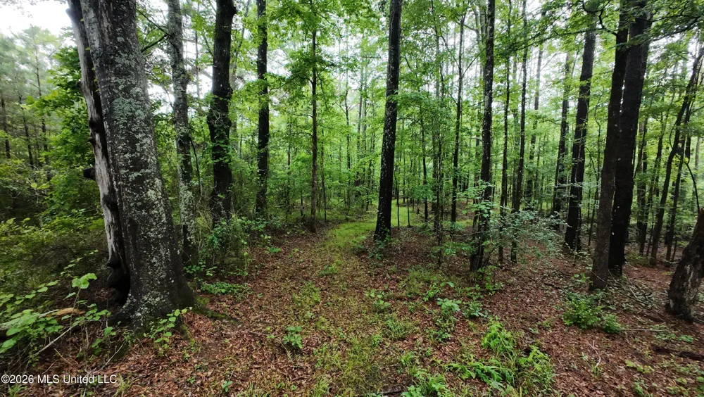 6936 Hillsboro-ludlow Road Forest, MS 39074