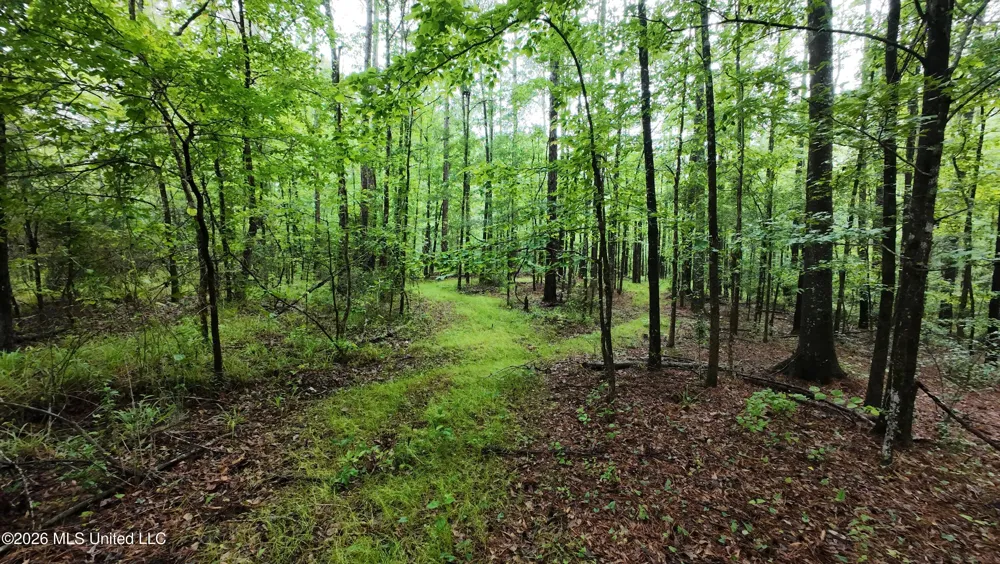 6936 Hillsboro-ludlow Road Forest, MS 39074