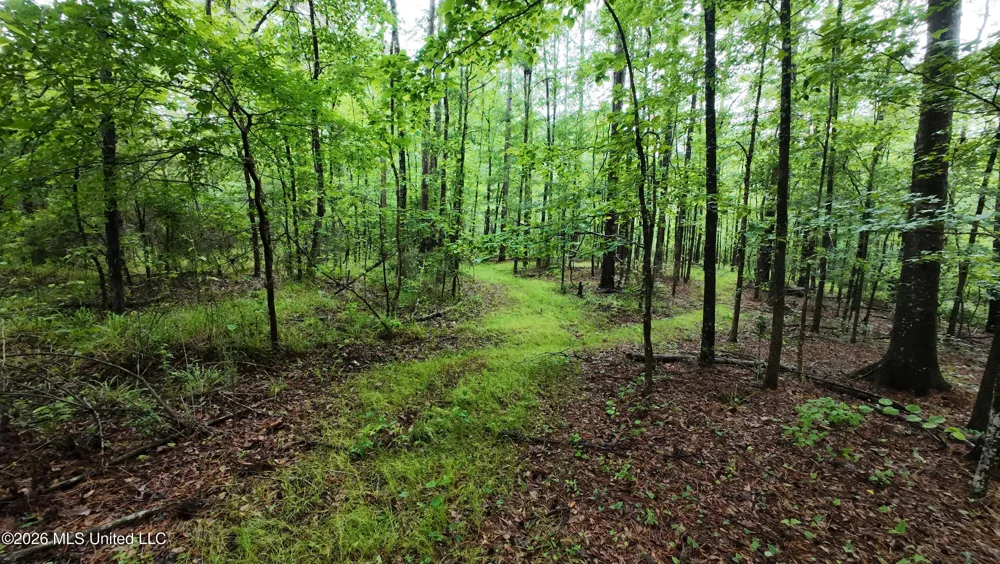 6936 Hillsboro-ludlow Road Forest, MS 39074