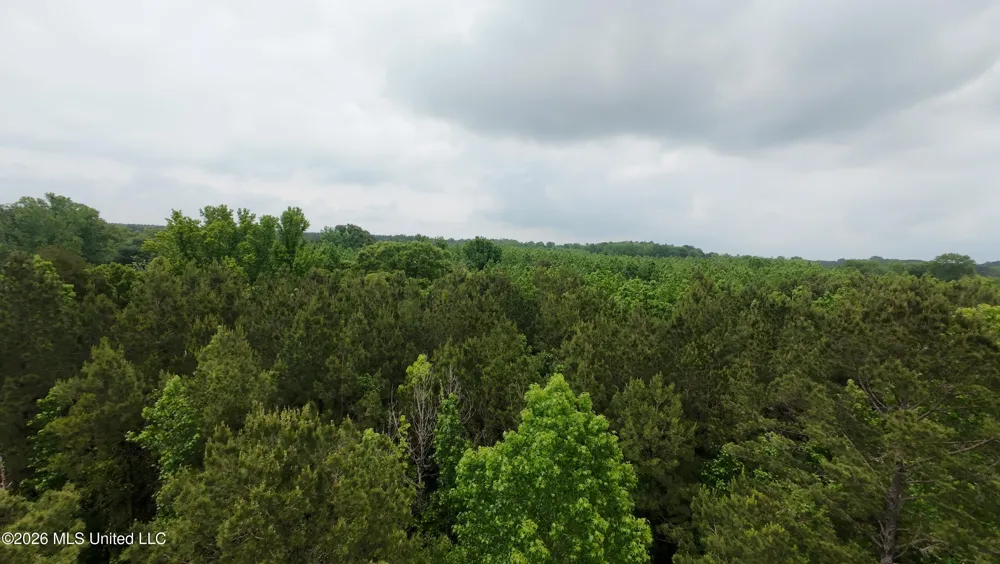 6936 Hillsboro-ludlow Road Forest, MS 39074