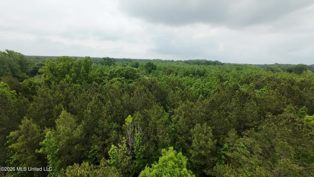 6936 Hillsboro-ludlow Road Forest, MS 39074