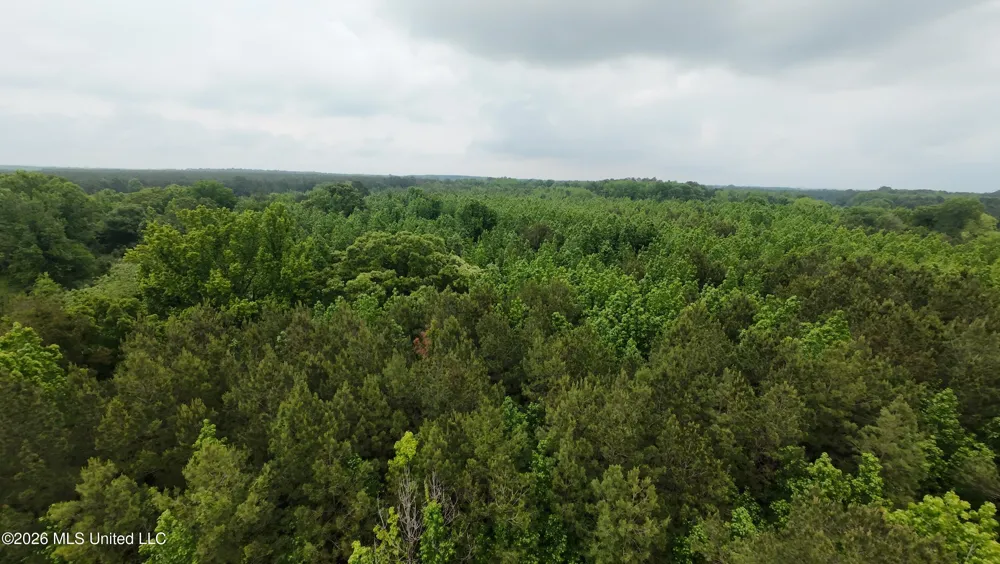 6936 Hillsboro-ludlow Road Forest, MS 39074