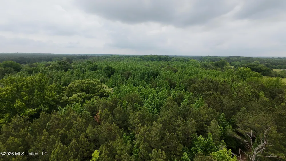 6936 Hillsboro-ludlow Road Forest, MS 39074