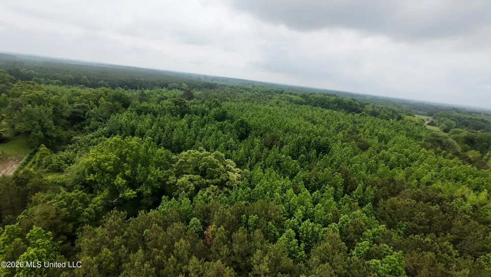 6936 Hillsboro-ludlow Road Forest, MS 39074