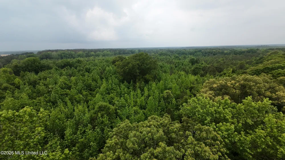 6936 Hillsboro-ludlow Road Forest, MS 39074