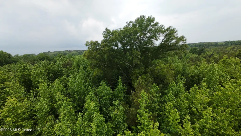 6936 Hillsboro-ludlow Road Forest, MS 39074