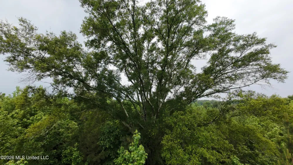 6936 Hillsboro-ludlow Road Forest, MS 39074