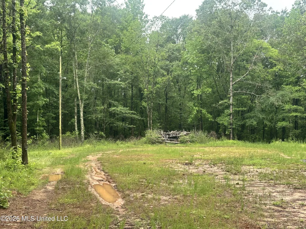 6936 Hillsboro-ludlow Road Forest, MS 39074