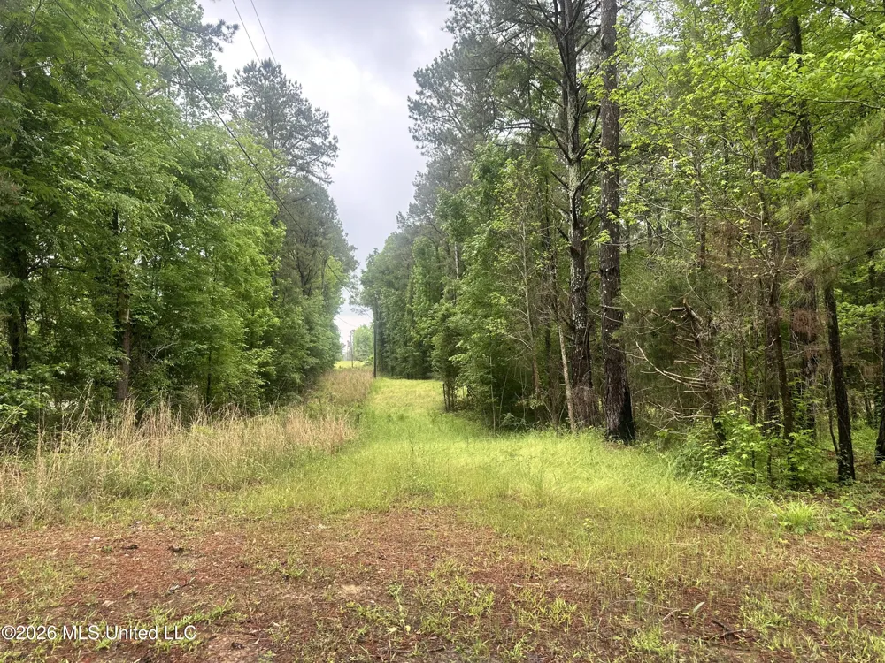 6936 Hillsboro-ludlow Road Forest, MS 39074