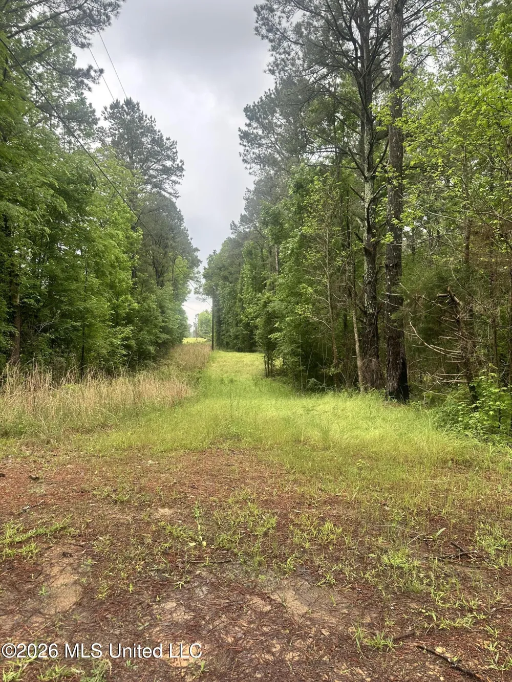 6936 Hillsboro-ludlow Road Forest, MS 39074