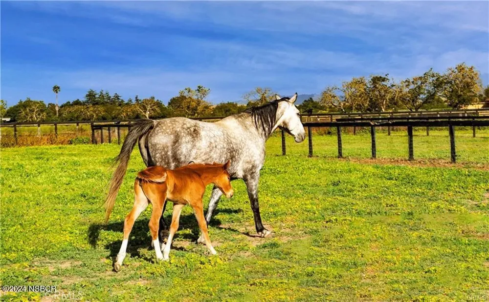 1977 W San Marcos Pass Road Santa Ynez, CA 93460