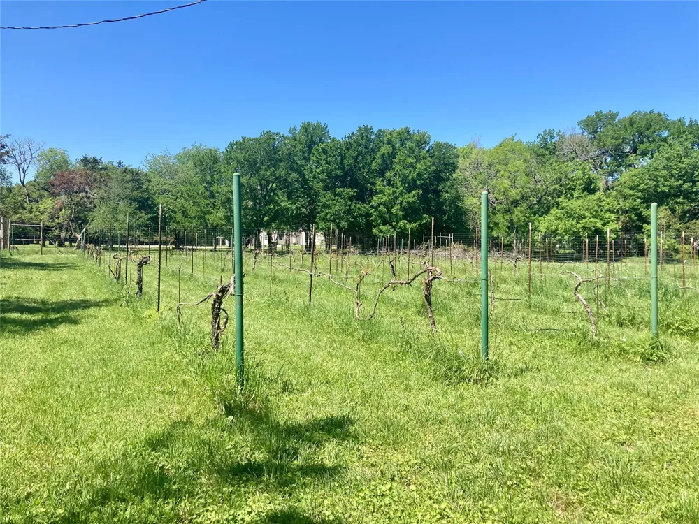 110 County Road 4270 Clifton, TX 76634