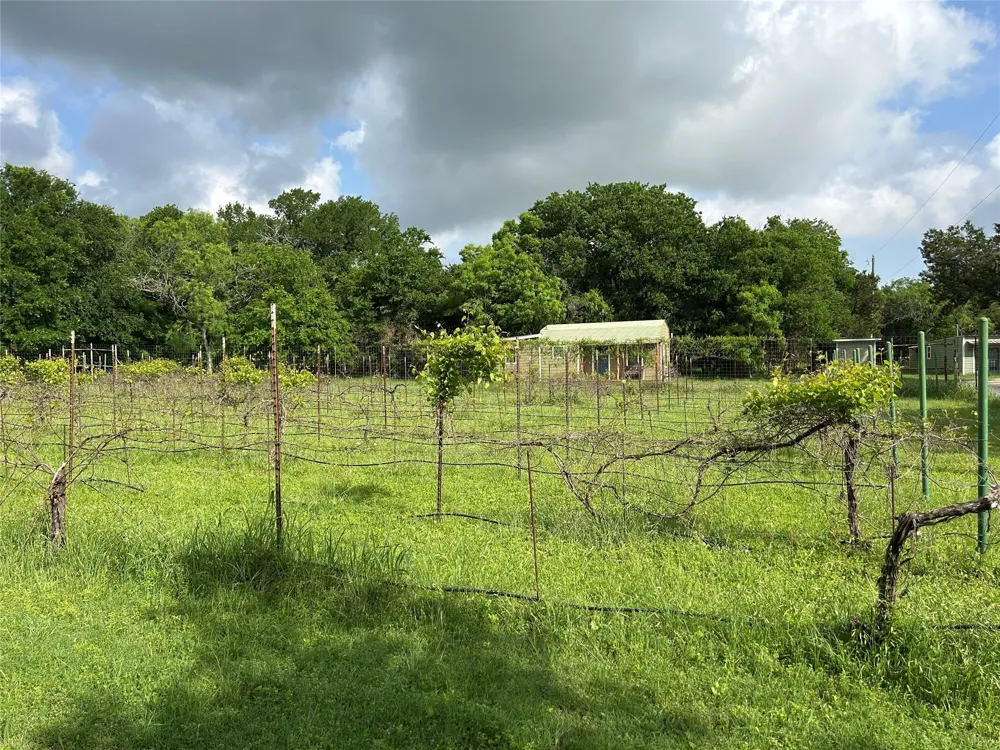 110 County Road 4270 Clifton, TX 76634
