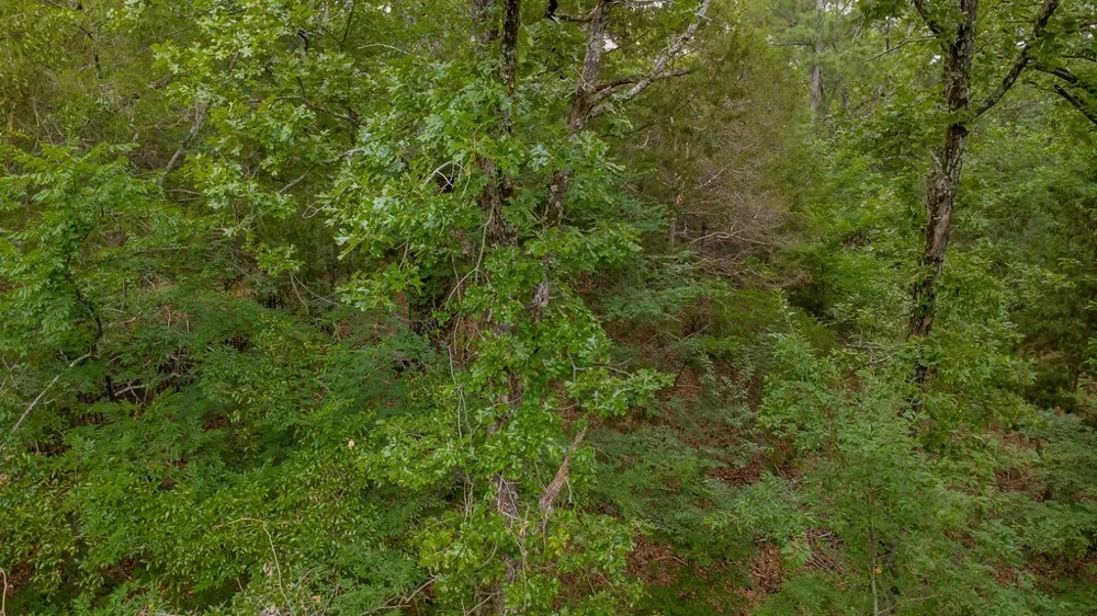 1714 Pineview Lane Hideaway, TX 75771