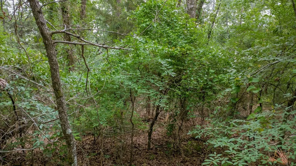 1714 Pineview Lane Hideaway, TX 75771