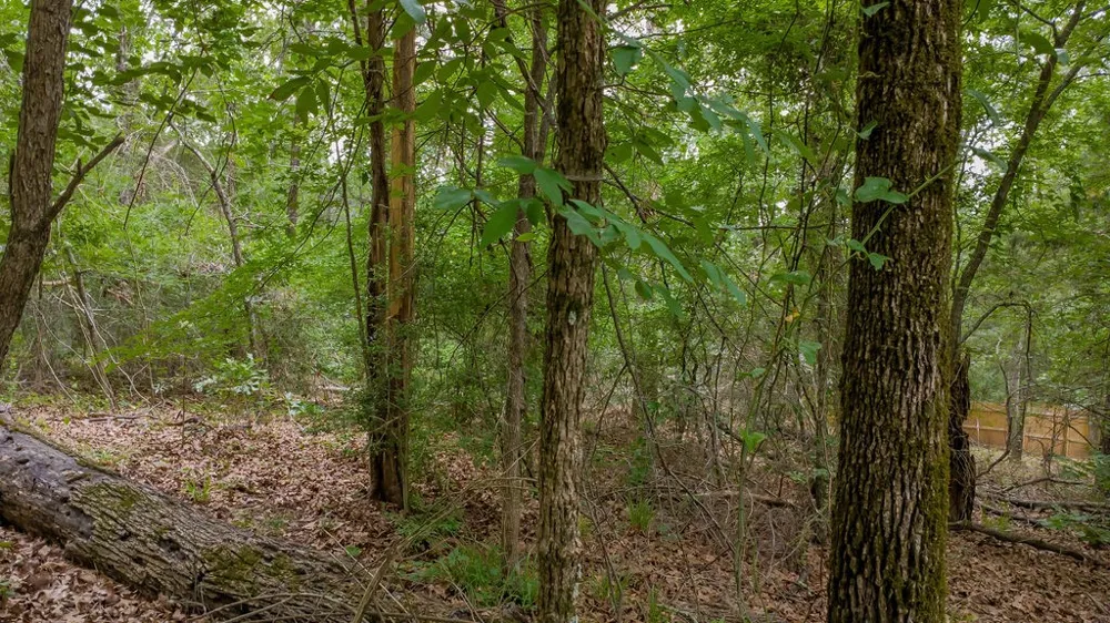 1714 Pineview Lane Hideaway, TX 75771
