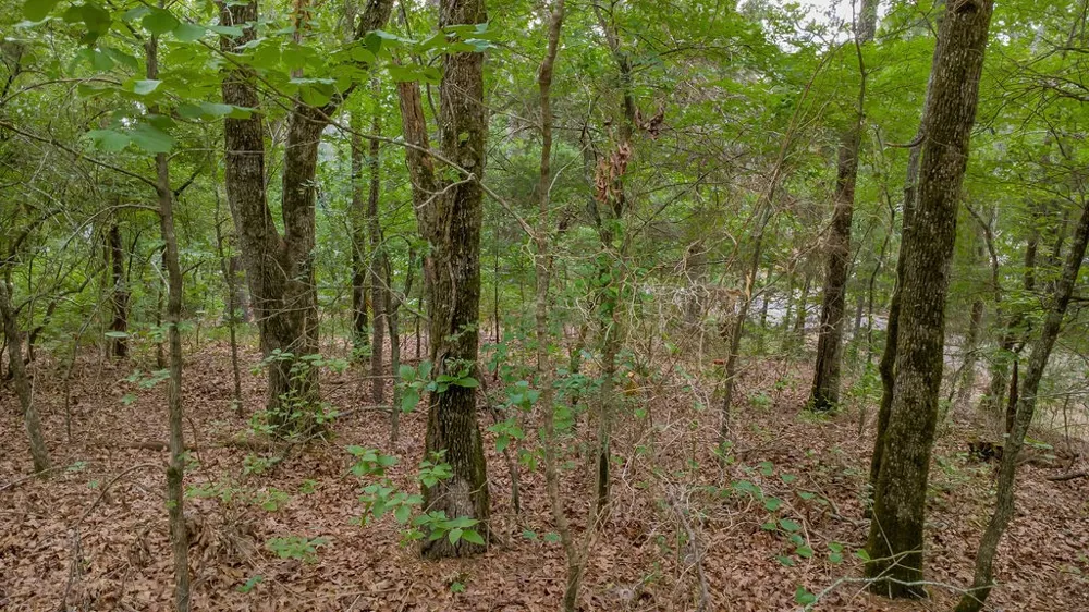 1714 Pineview Lane Hideaway, TX 75771