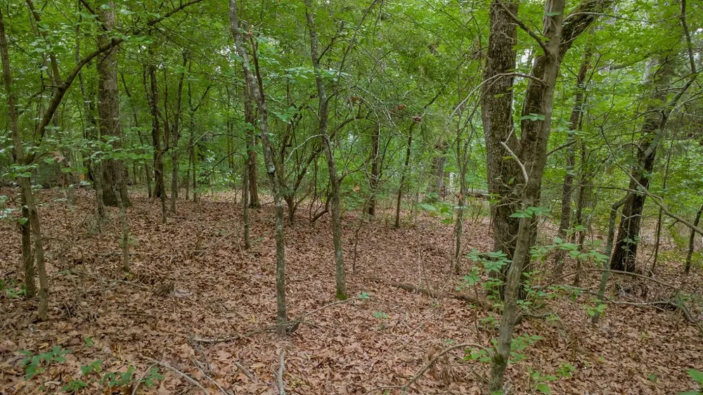 1714 Pineview Lane Hideaway, TX 75771