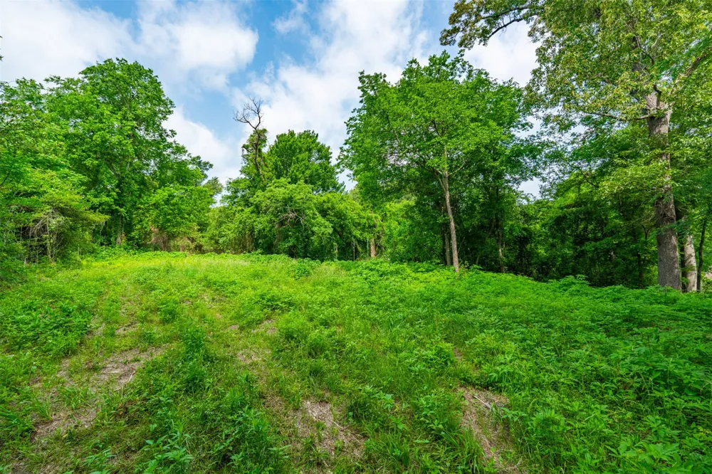 855 Prairieville Street Athens, TX 75751