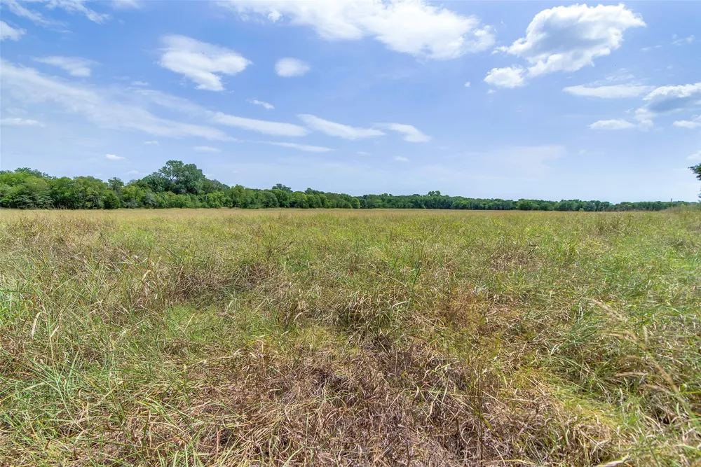 10616 State Highway 78 Blue Ridge, TX 75424