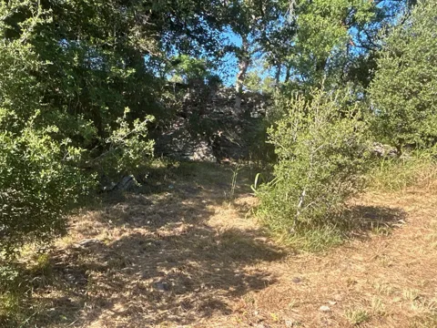 County Road 554
