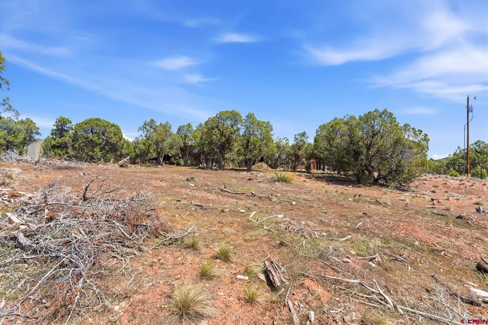 144 Pinon Hills Circle Arboles, CO 81122