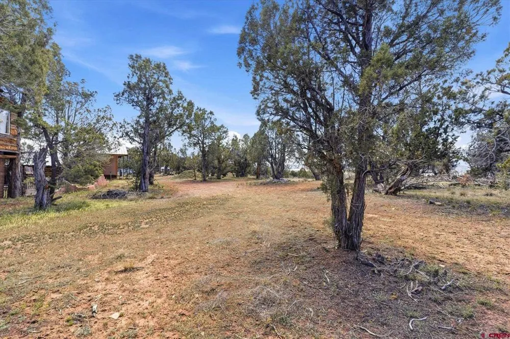 144 Pinon Hills Circle Arboles, CO 81122