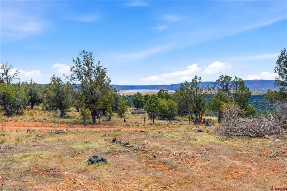 144 Pinon Hills Circle Arboles, CO 81122