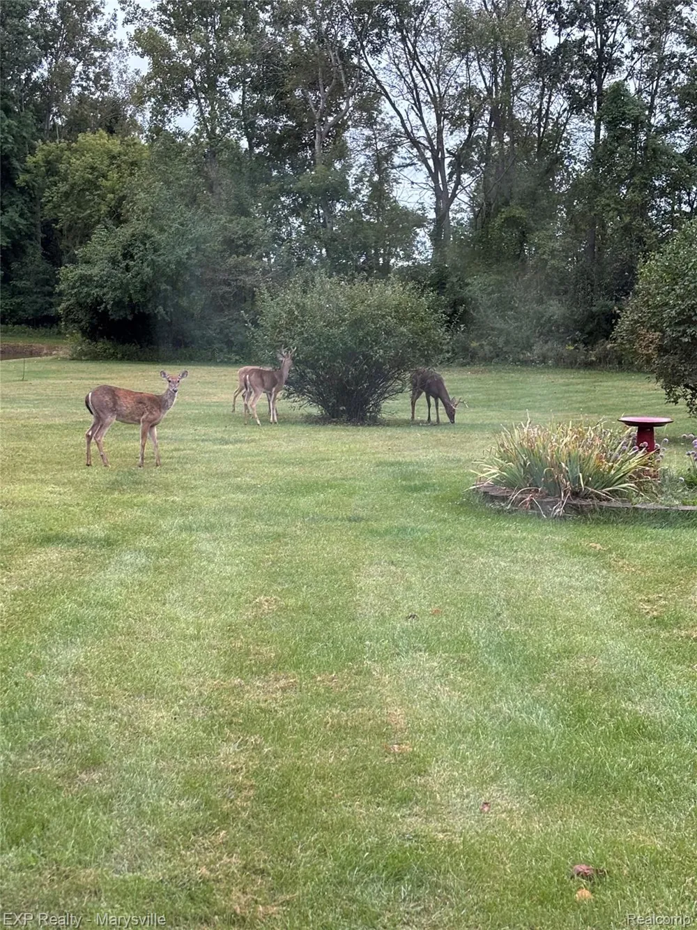 12980 Metcalf Road Brockway Township, MI 48097