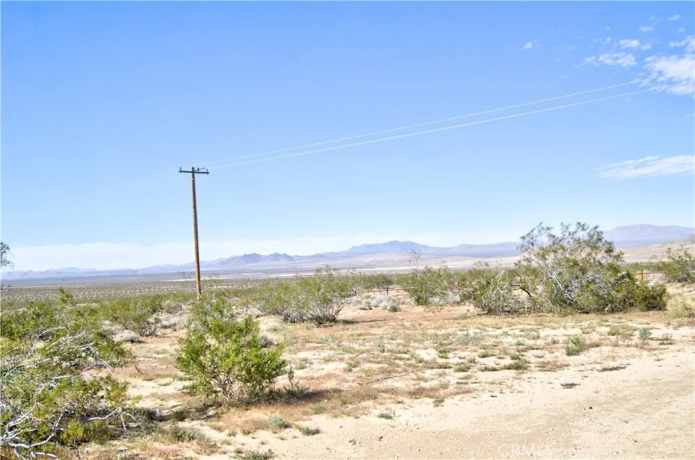 51063 Joshua Tree Johnson Valley, CA 92285