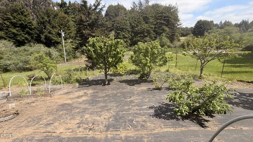 27030 Hwy 1 Fort Bragg, CA 95437