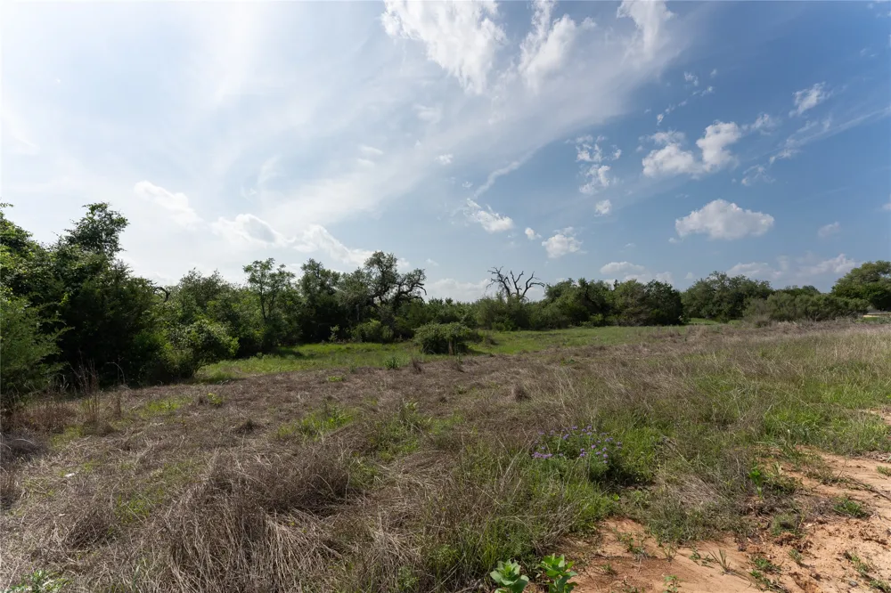 143 Prairie Grass Cove Driftwood, TX 78619