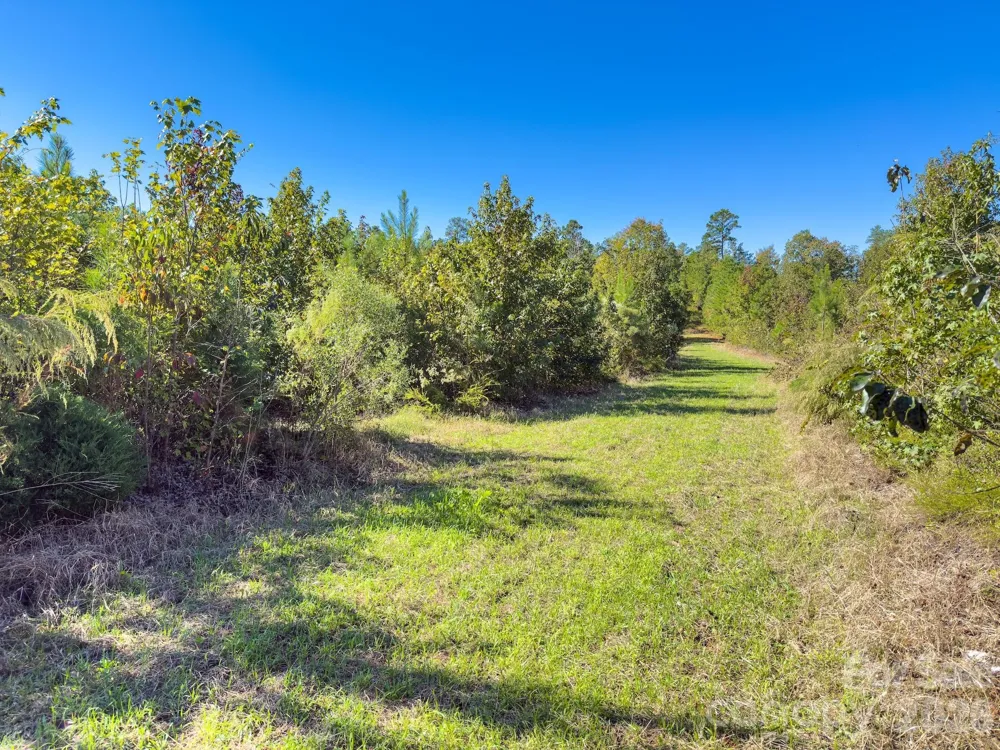 0 Hwy 731 Highway E Candor, NC 27229
