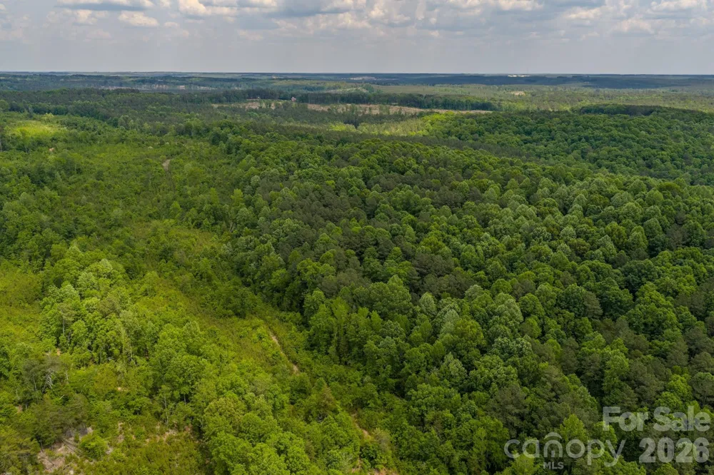 0 Hwy 731 Highway E Candor, NC 27229
