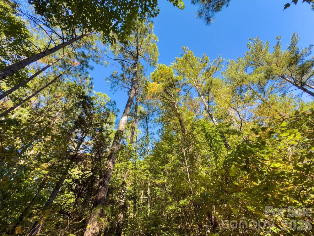 0 Hwy 731 Highway E Candor, NC 27229