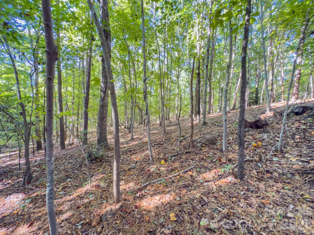 0 Hwy 731 Highway E Candor, NC 27229