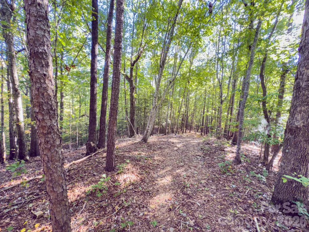 0 Hwy 731 Highway E Candor, NC 27229