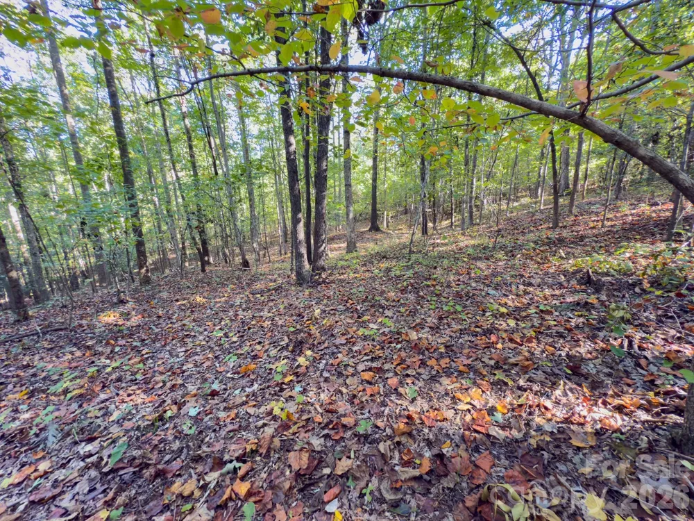 0 Hwy 731 Highway E Candor, NC 27229