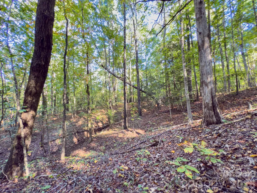 0 Hwy 731 Highway E Candor, NC 27229
