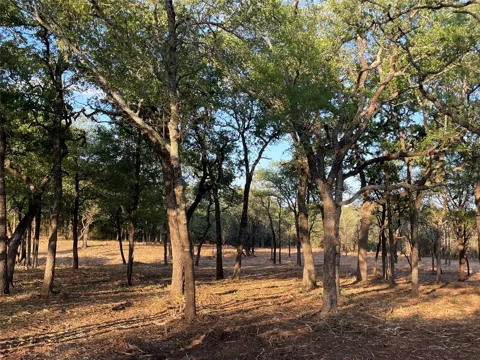 10960 FM 1602 Highway
