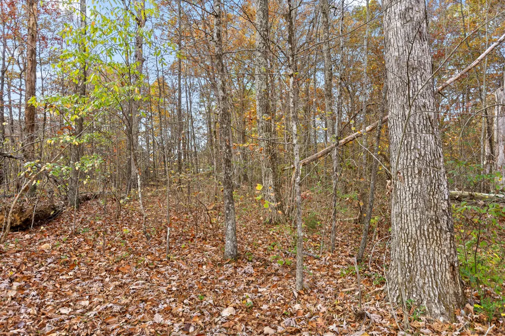 612 Miles Road Signal Mountain, TN 37377
