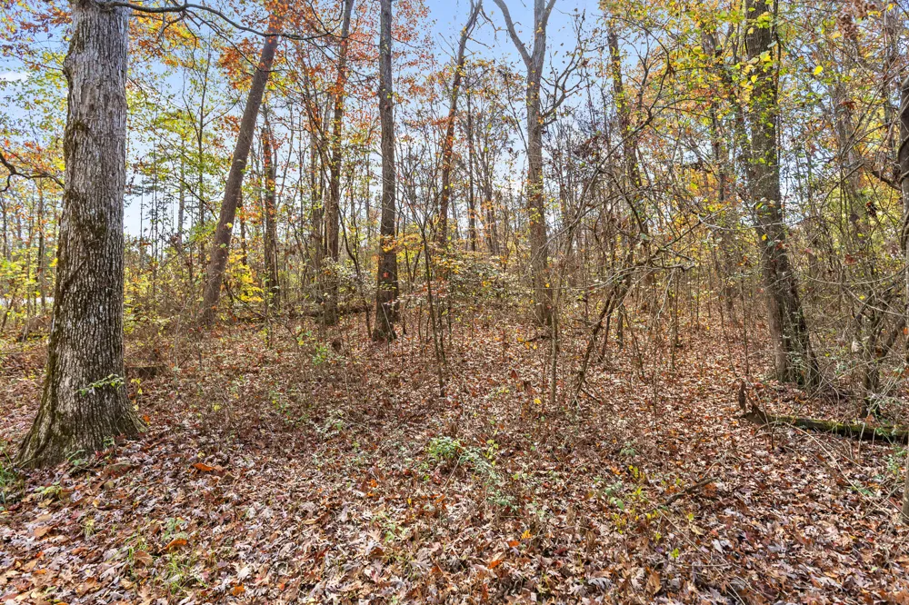 612 Miles Road Signal Mountain, TN 37377
