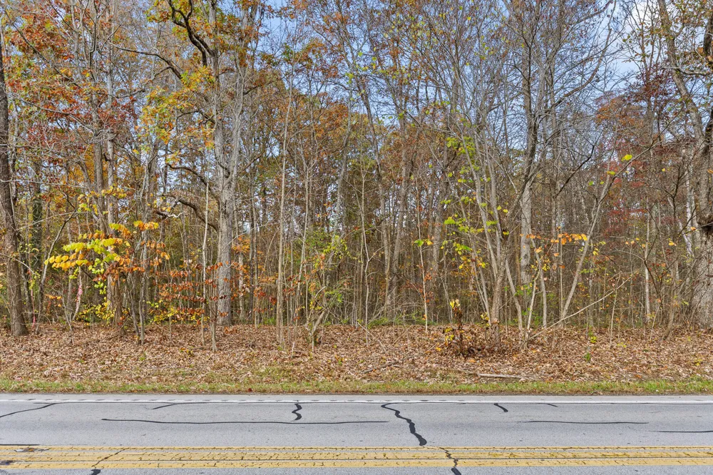 612 Miles Road Signal Mountain, TN 37377