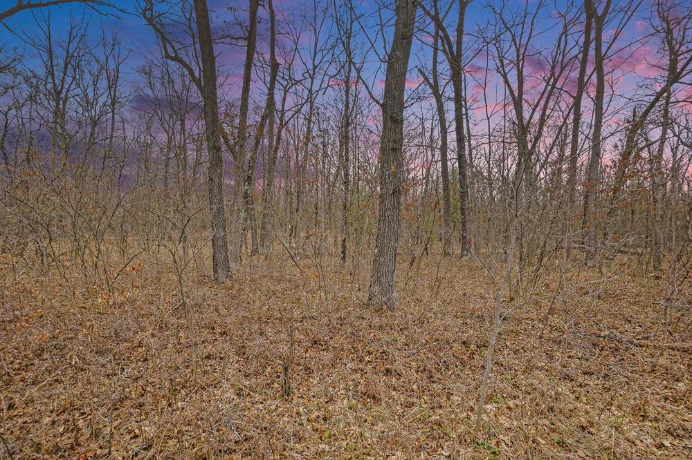 Woodbridge Road Bitely, MI 49309