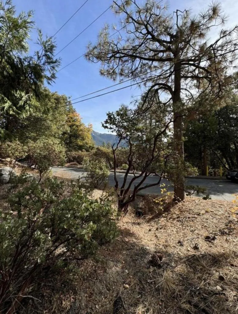 53642 Jeffrey Pine Court Idyllwild, CA 92549