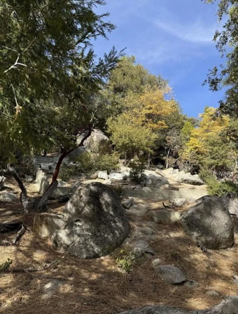 53642 Jeffrey Pine Court Idyllwild, CA 92549