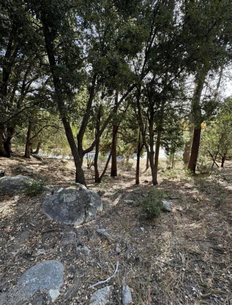 53642 Jeffrey Pine Court Idyllwild, CA 92549