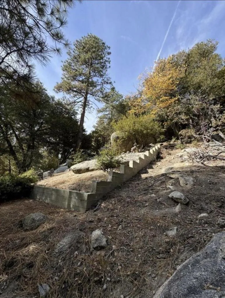53642 Jeffrey Pine Court Idyllwild, CA 92549