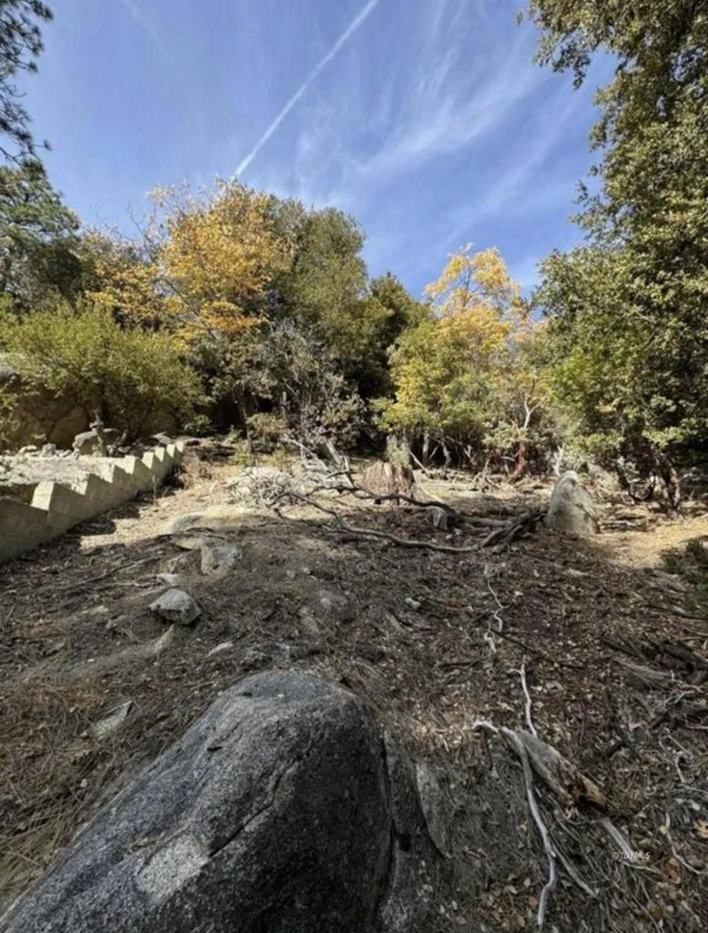 53642 Jeffrey Pine Court Idyllwild, CA 92549